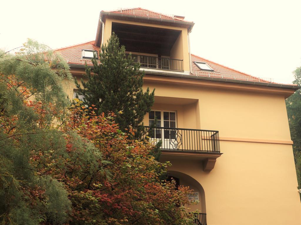 Apartments Smag Obere Burgstrasse Pirna Dış mekan fotoğraf