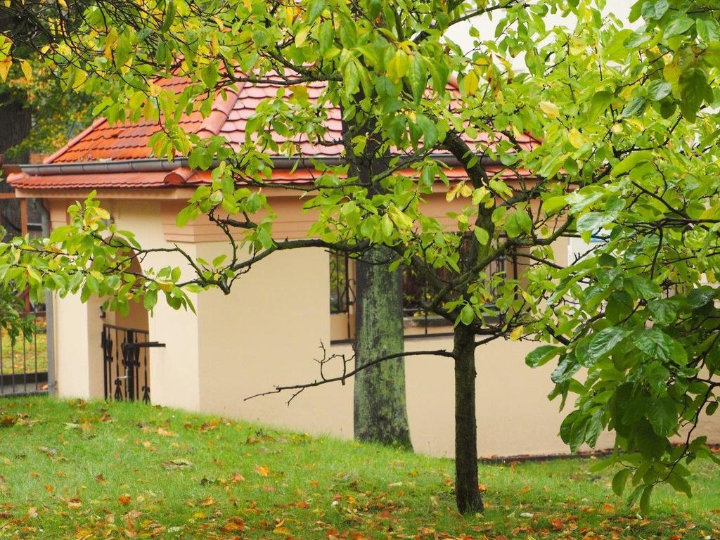 Apartments Smag Obere Burgstrasse Pirna Dış mekan fotoğraf