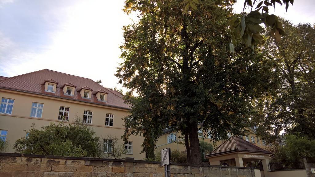 Apartments Smag Obere Burgstrasse Pirna Dış mekan fotoğraf